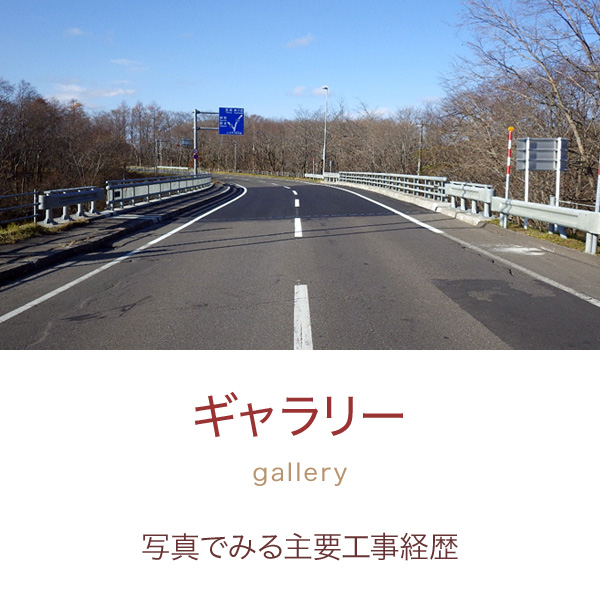 ギャラリー
